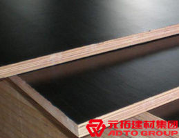 木模板的材料有哪些？各自有什么特點(diǎn)？