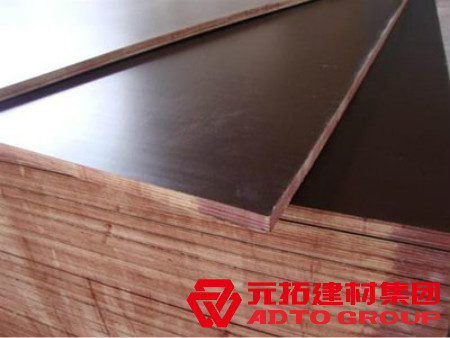  河北木模板如何選購？建筑木模板選購注意哪些方面？